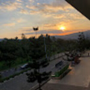 Meet your Posher, Bernice